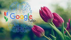 Tulip expands global capabilities with 10 new languages