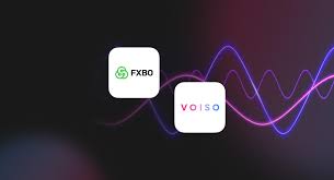Voiso Unveiled New Data-Driven Solutions