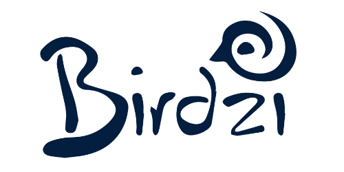 Birdzi announced the Launch of VISPER Live