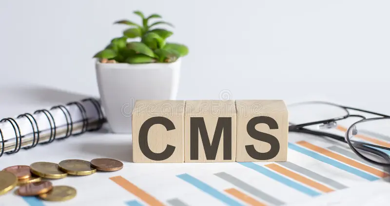 Agency Expands Leadership to Strengthen Digital Strategy and Creative Innovation